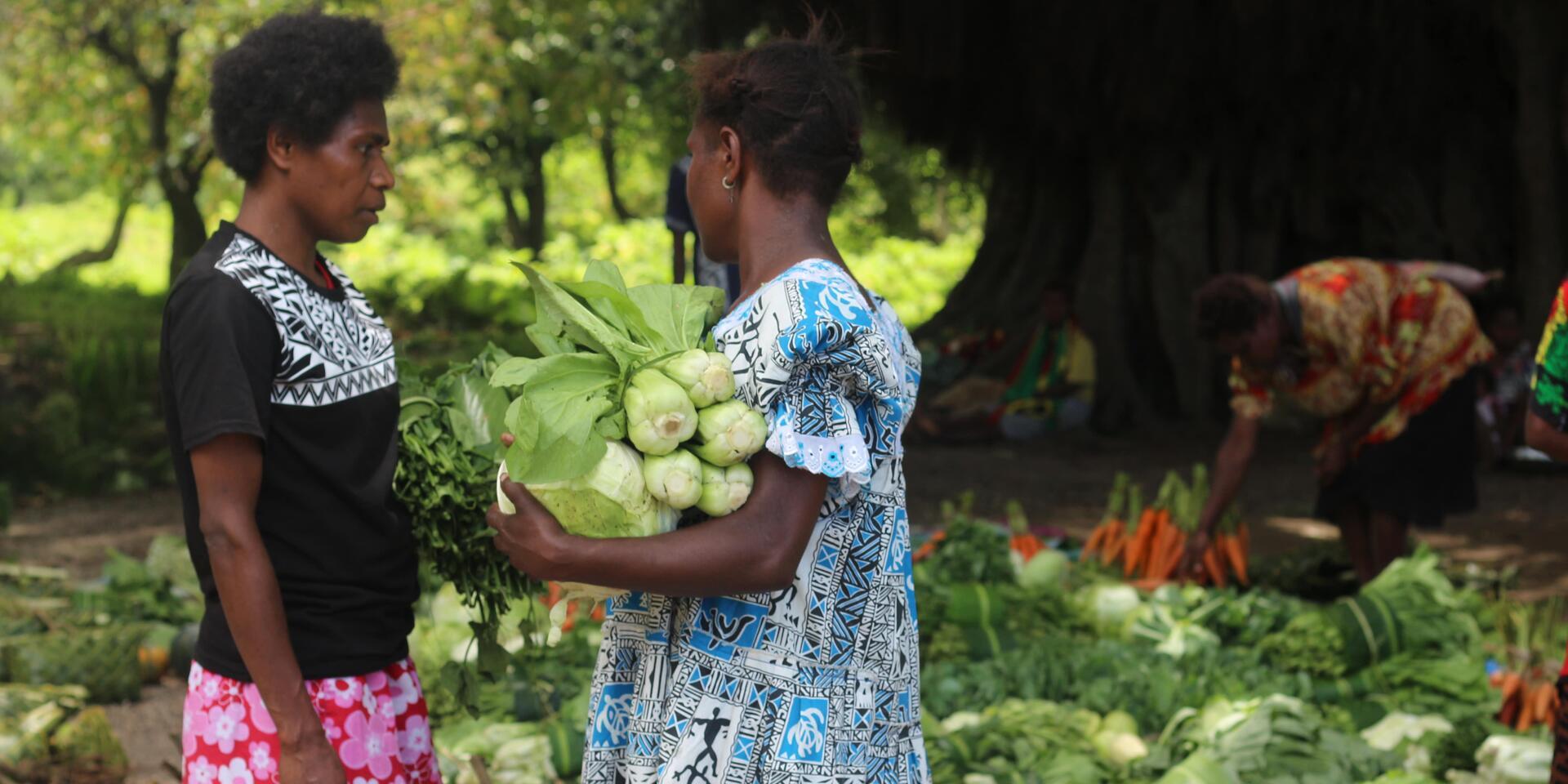 Turning the tide towards better nutrition in the Pacific - Alliance Bioversity International - CIAT