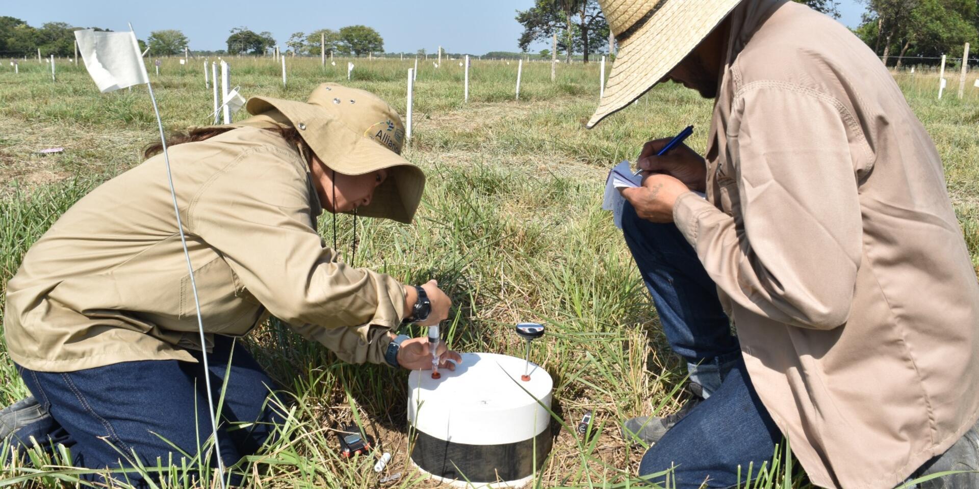 Una alianza estrat&eacute;gica formalizada: UPM y la Alianza trabajando por el futuro de los sistemas forrajeros