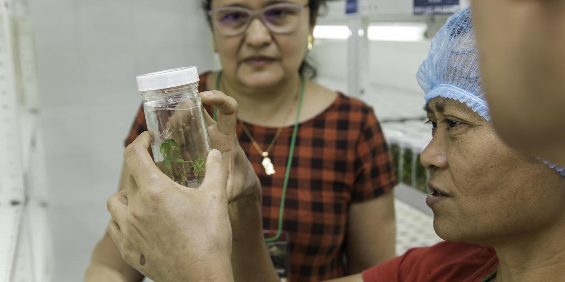Unlocking plant genetic material exchange for food systems resilience 