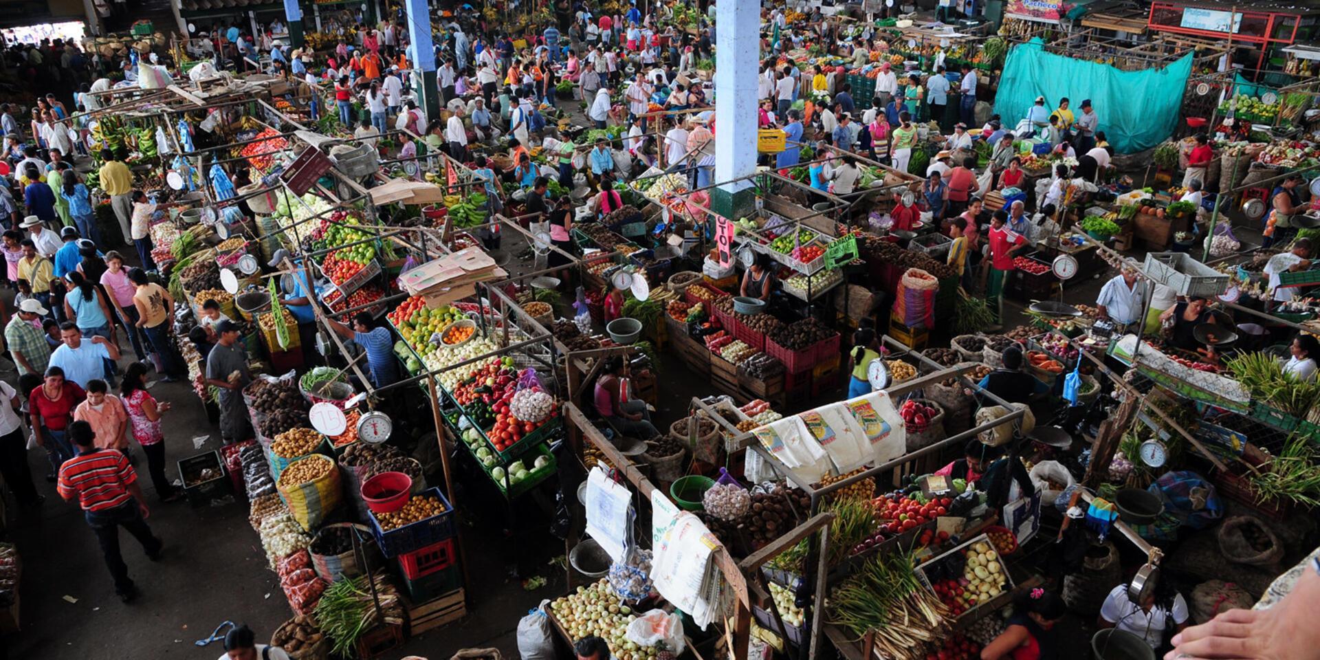 Unpacking the &lsquo;Food Systems&rsquo; Buzzword 