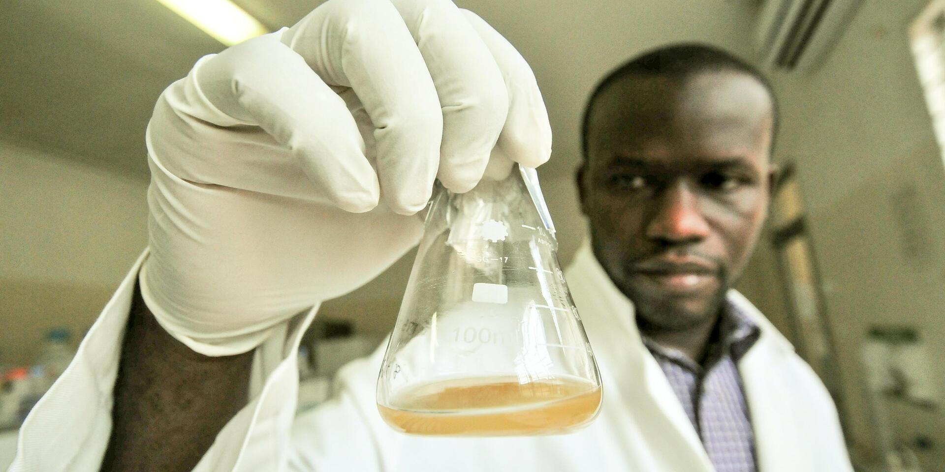 Unraveling the genome Sequencing with MinION in common bean research - Alliance Bioversity International - CIAT