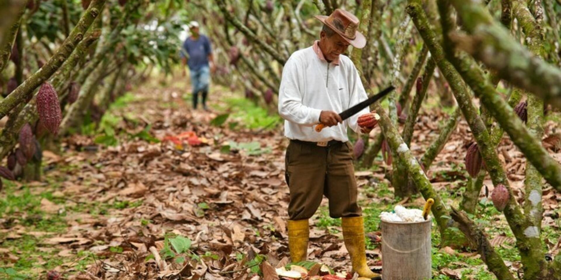 Venture-Out with aCLIMAtar Navigating the Innovation Ecosystem - Alliance Bioversity International - CIAT