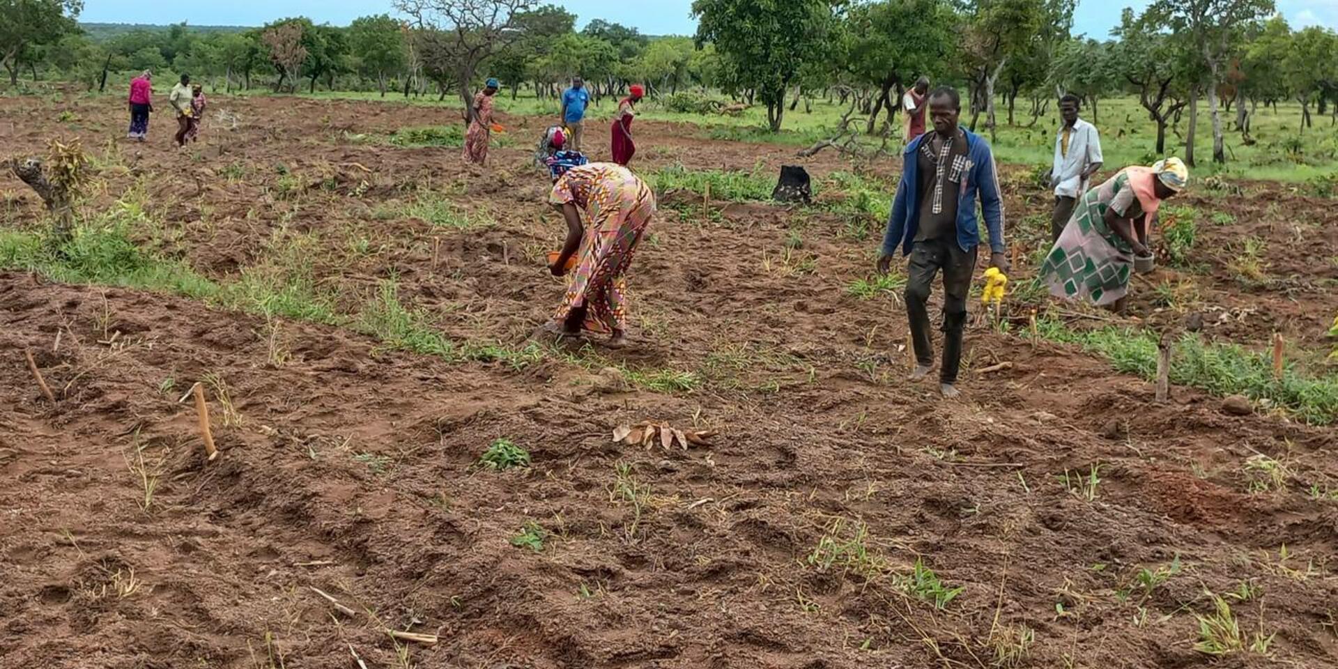 Visualization tool for CIS-CSA interventions in Ghana to support CSA implementation by donors and development partners