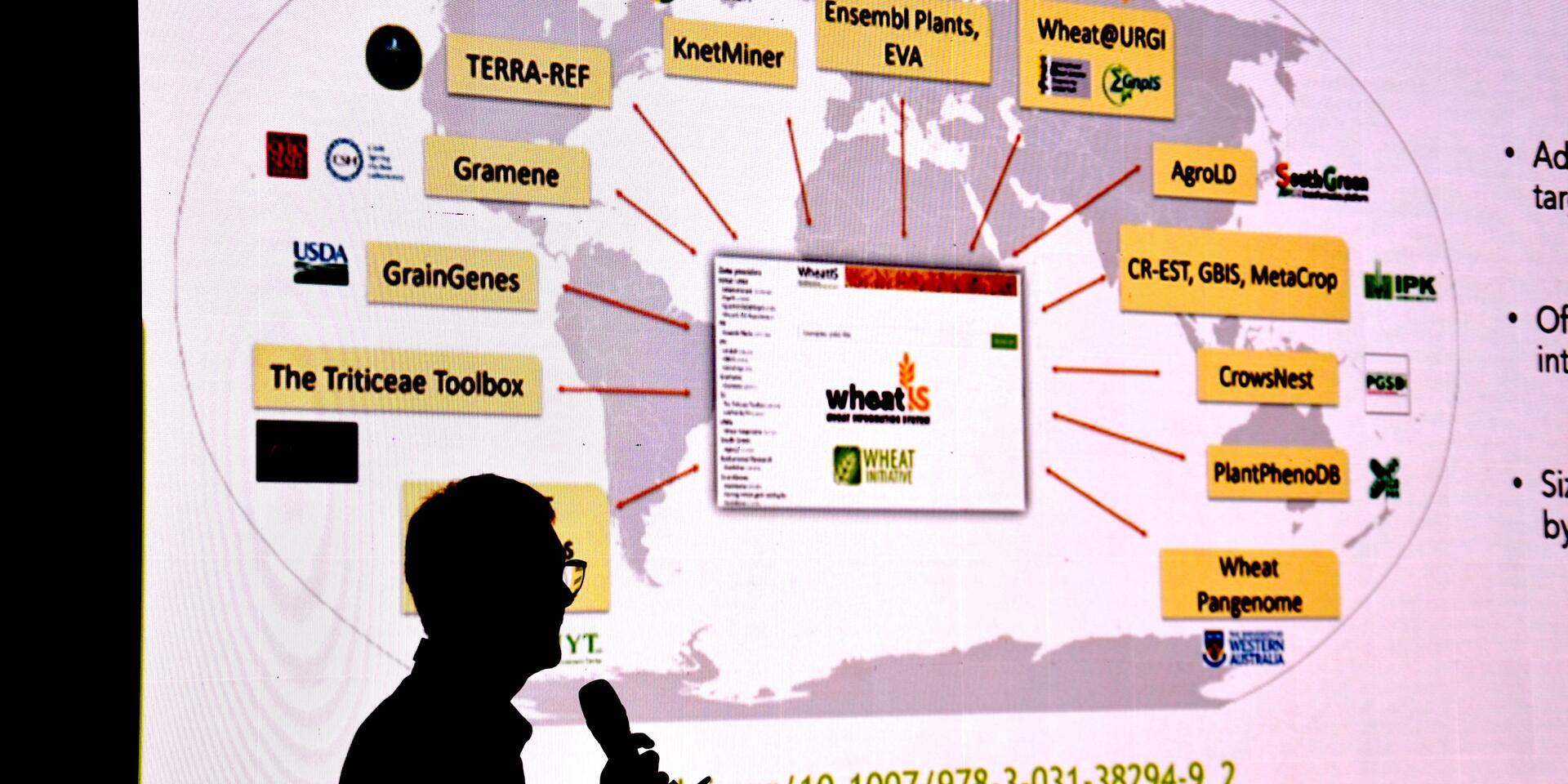 What is digital sequence information&rsquo;s role in agricultural research and benefit-sharing - Alliance Bioversity International - CIAT