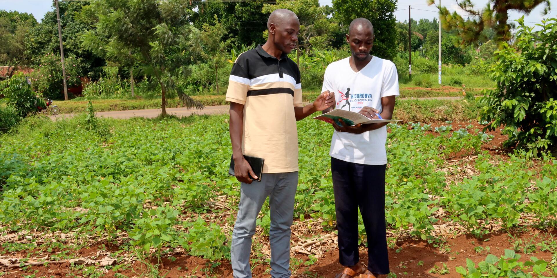When farmers start calling for the forecast Rebuilding trust in climate information in Uganda