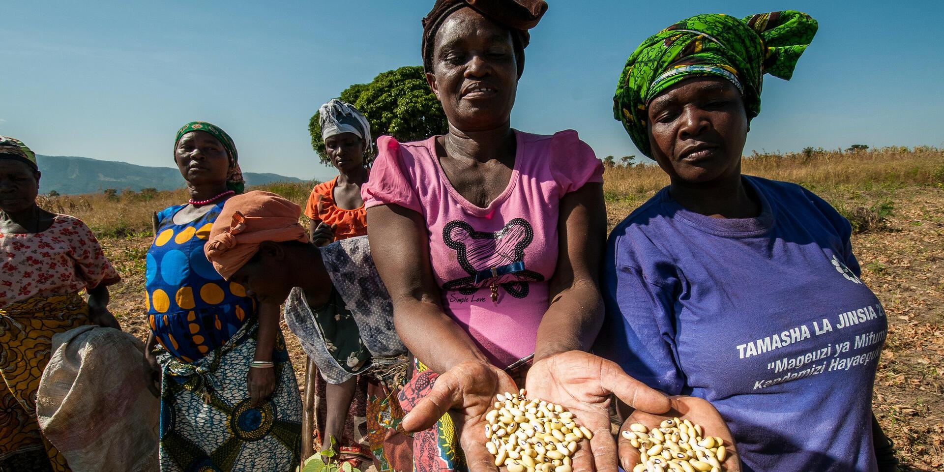 When Women Lead, Food and Land Systems Thrive The International Year of the Woman Farmer - Alliance Bioversity International and CIAT