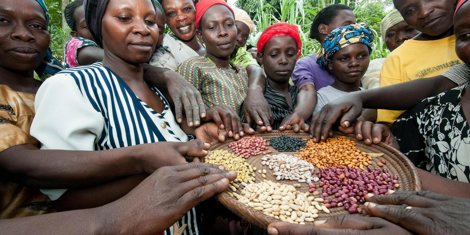 Women and girls are at the heart of fostering better agrifood systems for all - Alliance of Bioversity International - CIAT