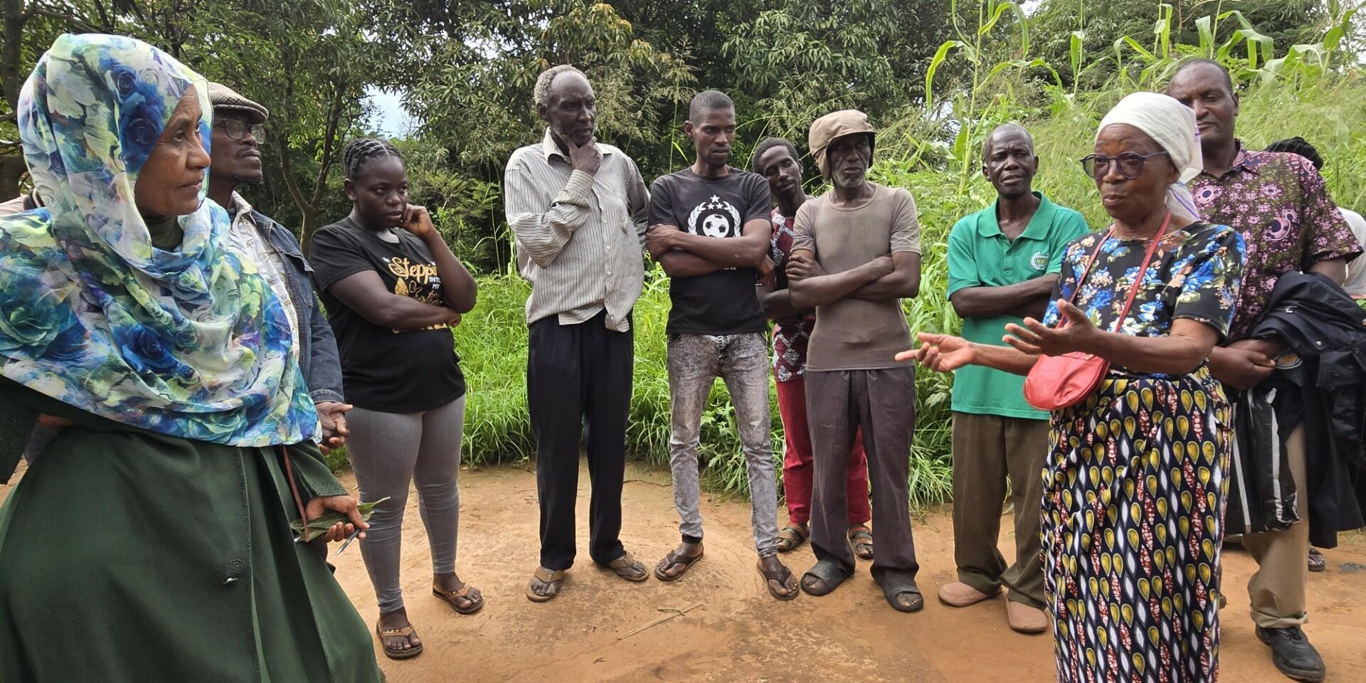 Zambian smallholder farmers welcome climate-smart beans-beneficial insects-fruit trees synergy