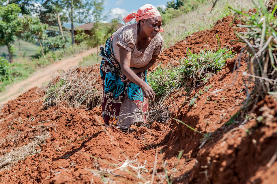 A new project launched to strengthen evidence use on African agriculture adaptation - Alliance Bioversity International - CIAT