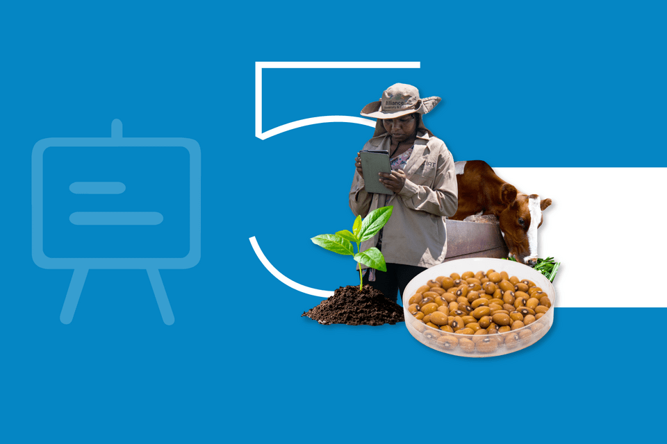 A Roadmap for Food Systems Impact - Annual Report 2024 - Alliance Bioversity International - CIAT