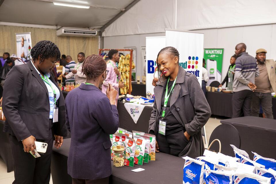 Accelerating Growth - How Malawi&rsquo;s Entrepreneurs Are Scaling Impact Through the Business Acceleration for Youth Project - Alliance Bioversity International - CIAT