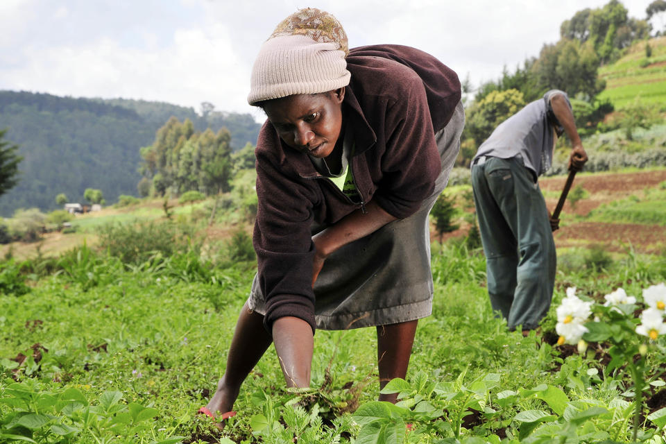 Adaptation in focus: Kenya’s efforts in climate reporting and resilience 