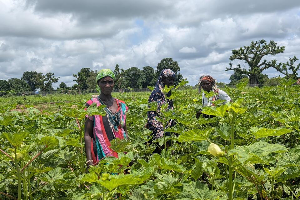 Africa, climate, and food - How to feed a continent without increasing its carbon footprint