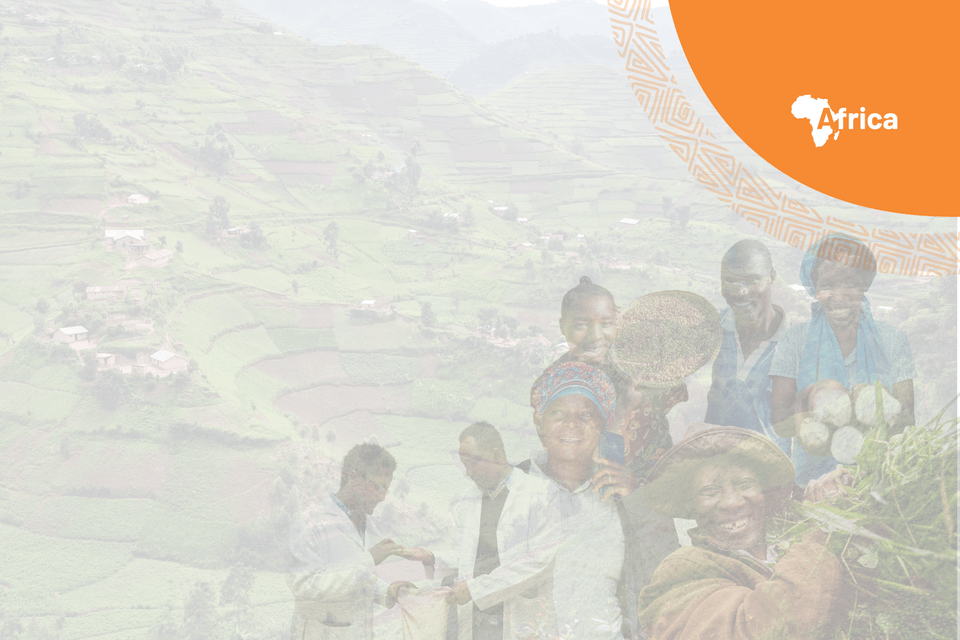 Subscribe to "The Alliance in Africa" newsletter