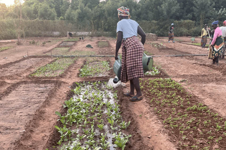 AVENIR - Alliance of Bioversity International - CIAT