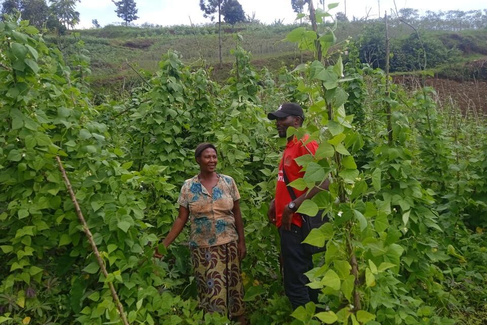 Beans that heal Journey to better nutrition in Rwanda&rsquo;s Western Province