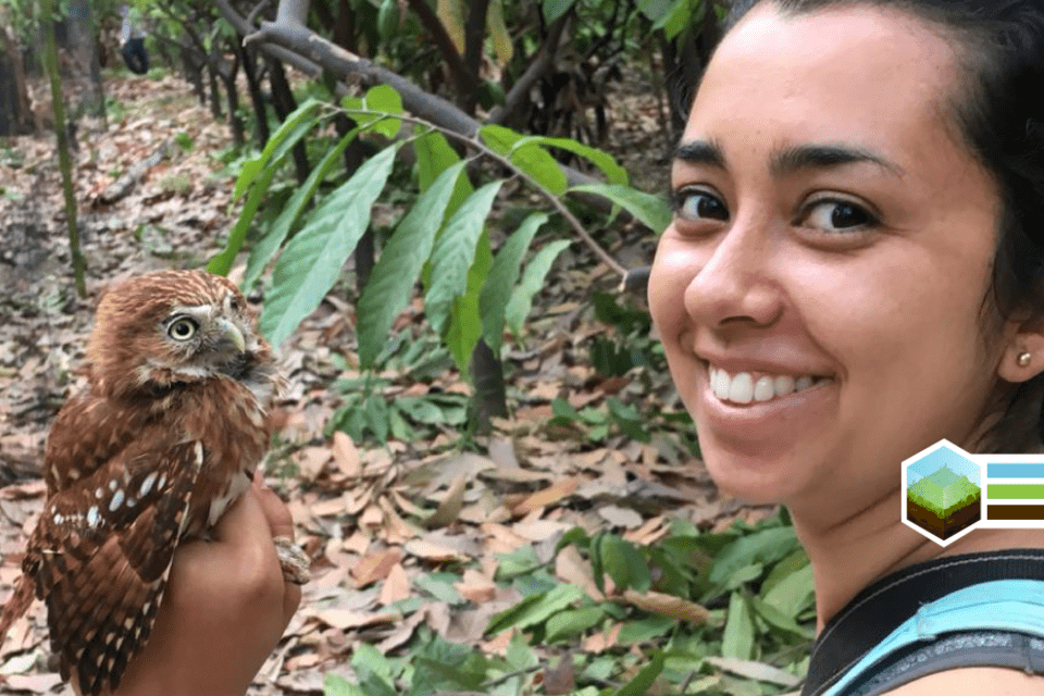 Birds and bats ensure yields for cacao farmers in northern Peru