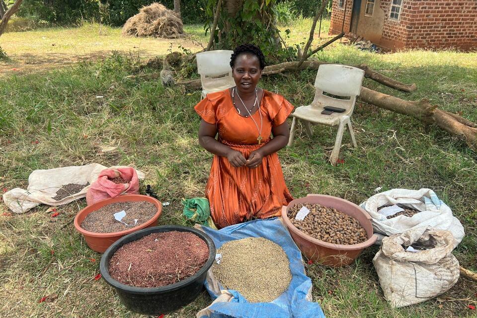 Building Resilience -  A New Era for Community Seed Banks in Western Uganda