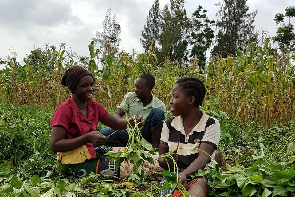 Can agroecology feed the world? The debate is heating up&hellip; and we want you to join the conversation!