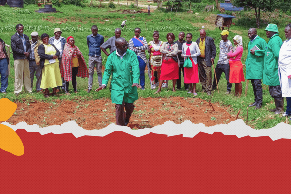 Can we measure Global Mutirão? COP30 can mobilize collective action for climate resilience 