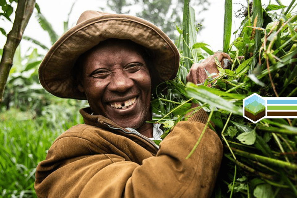 Cómo una herramienta de puntuación de créditos climáticos está revolucionando la financiación agrícola en África