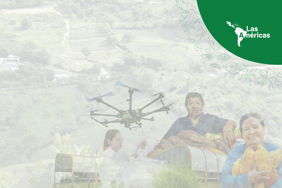 Subscribe to our newsletter about the Americas