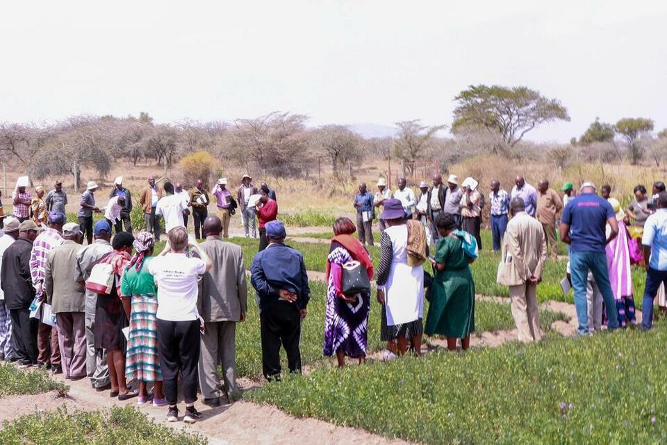 Why climate-smart dairy farming in Kenya needs more than knowledge
