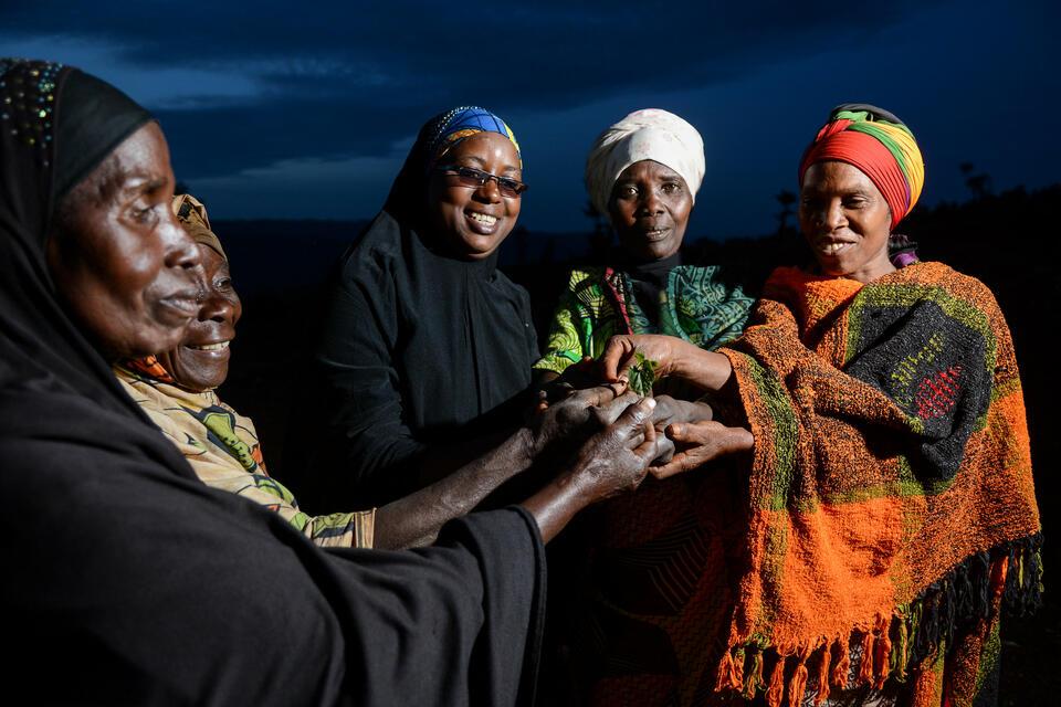 Cultivating opportunity: Revaluing traditional crops for nutrition, heritage and resilience in Africa 