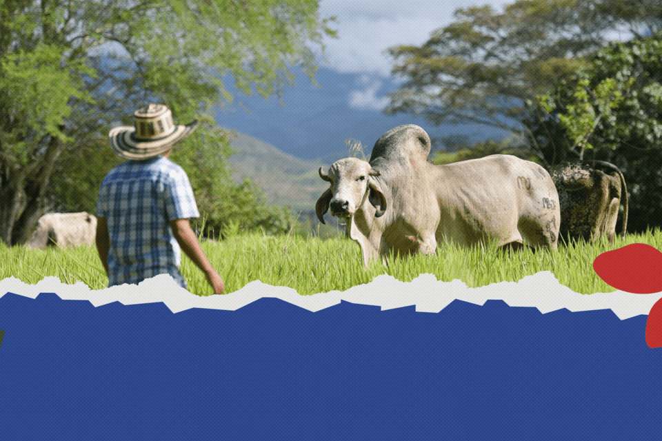 Des engagements &agrave; la pratique -  Comment d&eacute;velopper une agriculture respectueuse de la nature pour avoir un impact sur le climat lors de la COP30