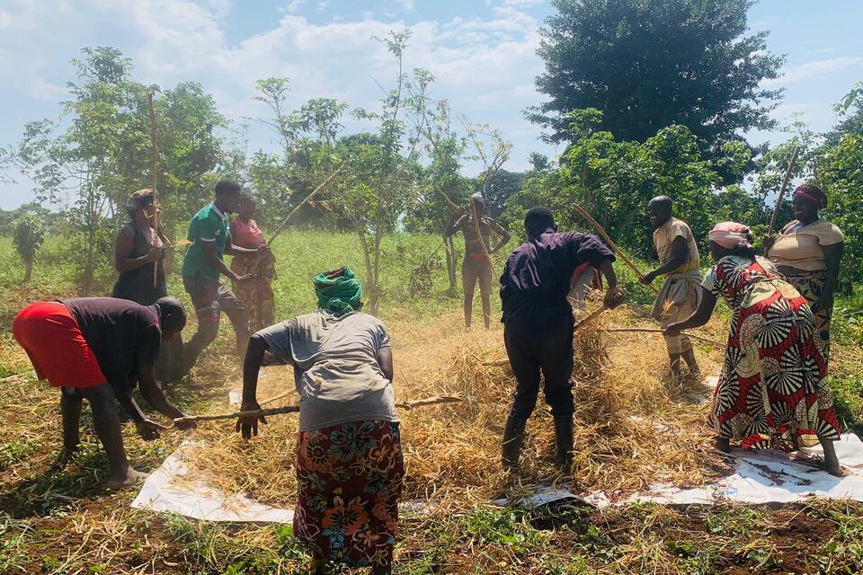 DRC Women Cultivating Resilience Through Bean Farming in Conflict Zones - Alliance Bioversity International - CIAT