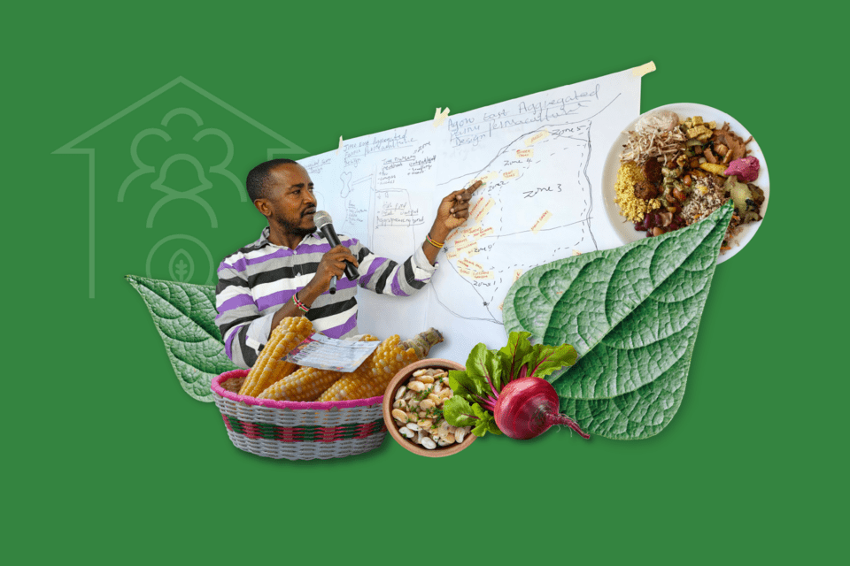 Driving Community-led Change - Annual Report 2024 - Alliance Bioversity International - CIAT