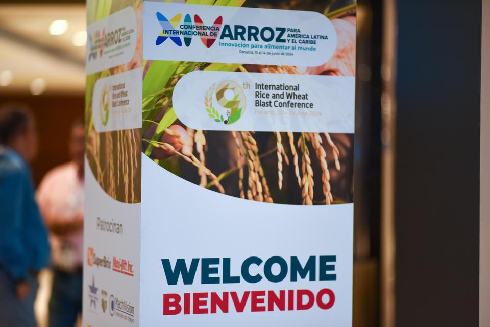 XIV International Rice Conference for Latin America and the Caribbean and the 9th Conference on Pyricularia in Rice and Wheat
