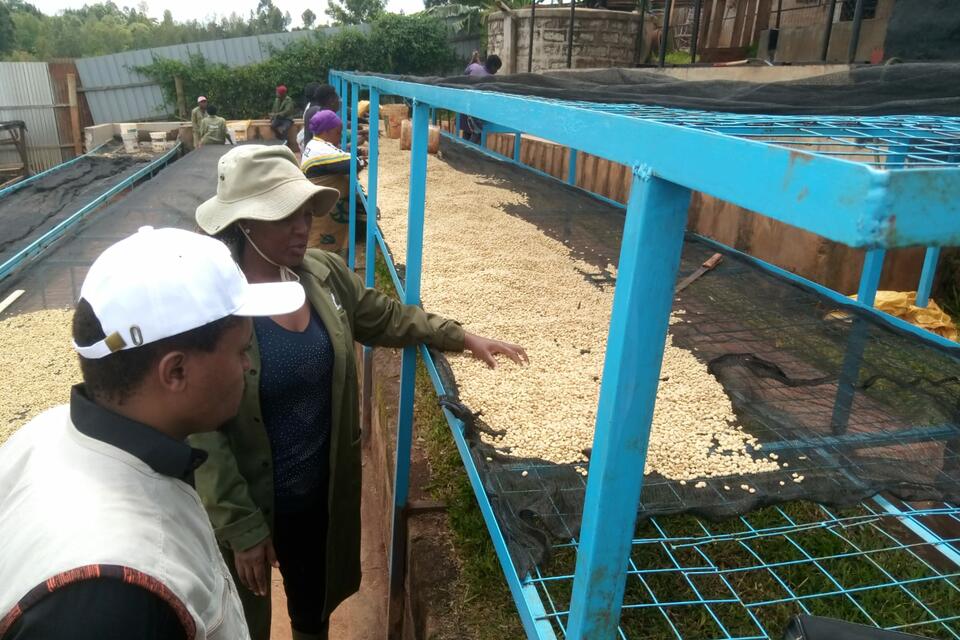 Empowering caregivers through coffee -  The story of cerebral palsy warriors CBO in Nyeri County, Kenya