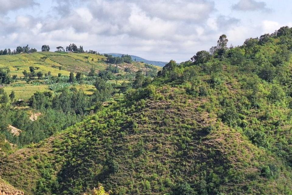 Empowering Youth and Women through Land Restoration A Grassroots Story 