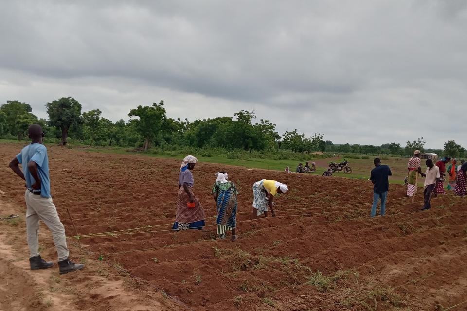 Enhancing Farmers' Resilience to Climate Change through CSA Demonstrations in Northern Ghana - Alliance Bioversity International - CIAT