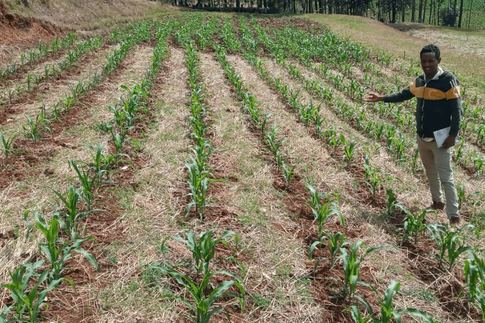 Ethiopia - When soils become a tool against climate change - Alliance Bioversity International - CIAT