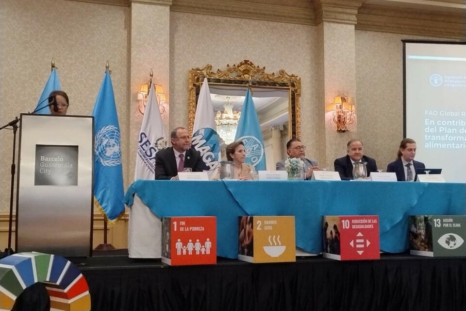 Exploring an illustrative national pathway for Guatemala to achieve food and climate targets in the framework of the FAO Global Roadmap