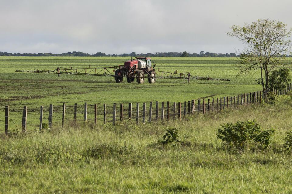 Exploring the effects of the green revolution on agriculture 