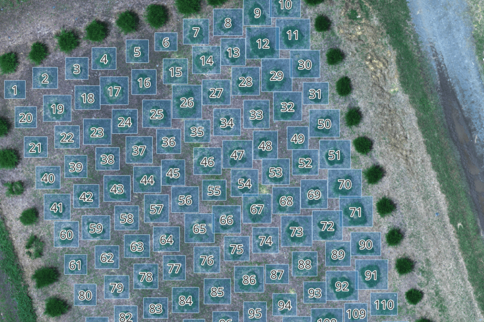 Fairgrounds in action: How the CGIAR forages research team is simplifying machine learning operations