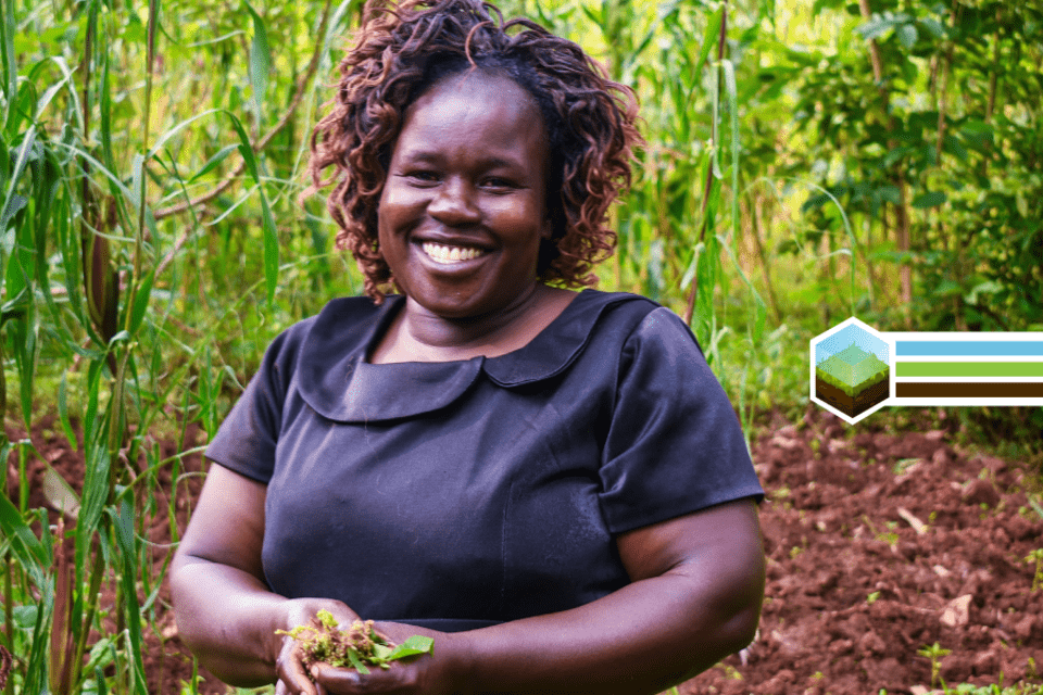 Farm resilience and healthy diets for a sustainable food system in Vihiga County