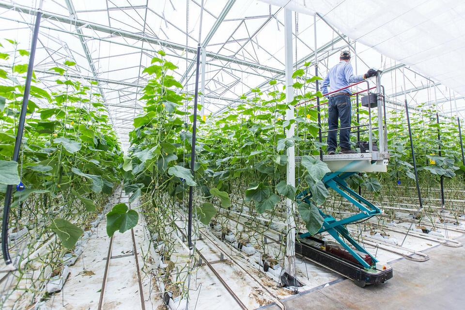 Fondazione Agritech and the Alliance of Bioversity International and CIAT Join Forces as Ecosystem Enablers to Unlock Scientific Agri-Food Innovation