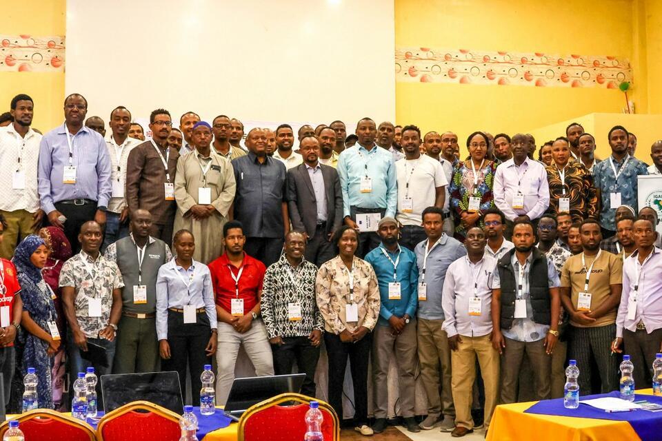 Forecasts across the frontier: How climate data is guiding pastoralists 
