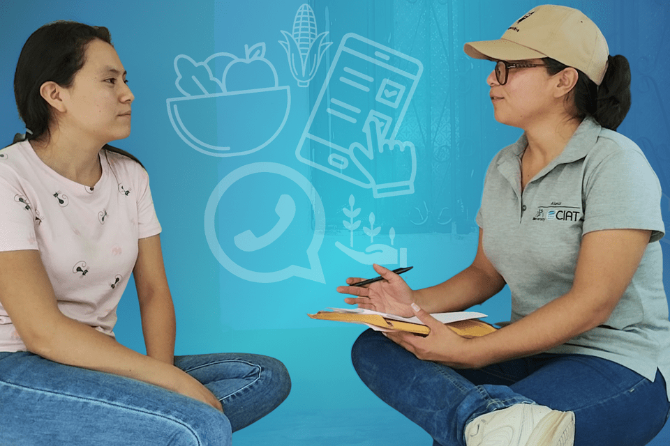 From paper surveys to chatbots: Advancing digital monitoring of diet quality in Guatemala