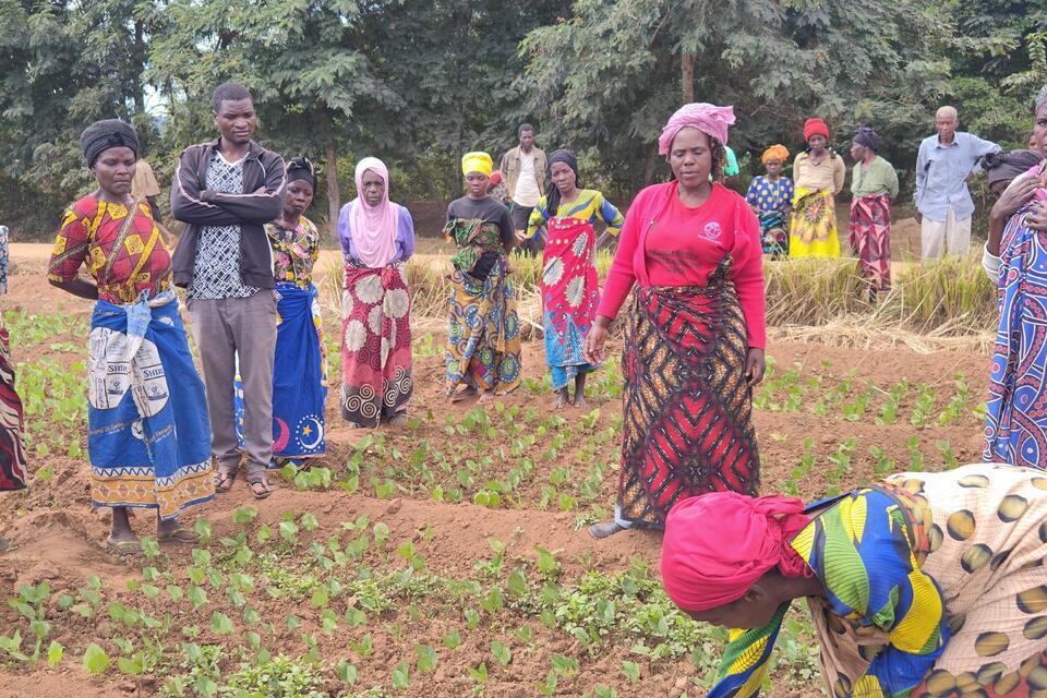 From parched land to productive farms - AID-I paves the way in Malawi