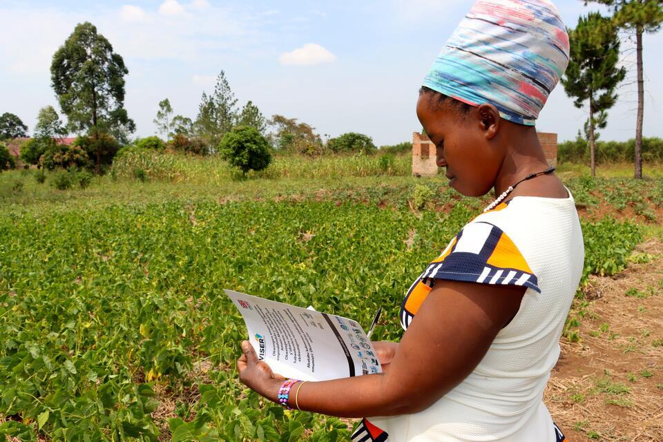  From transformation to sustainability: Scaling inclusive climate services in East Africa 