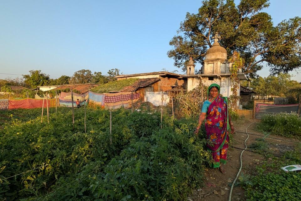 Functional Biodiversity on Farmscapes