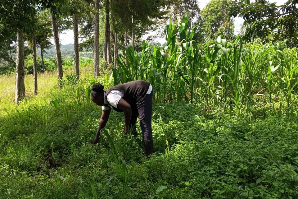 Ground-level insights from AgriGAHALA baseline survey