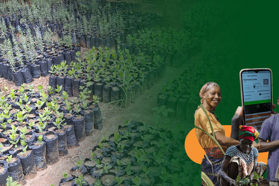 Grow Trees. Grow Futures. Restore landscapes with farmers. - Alliance of Bioversity International - CIAT