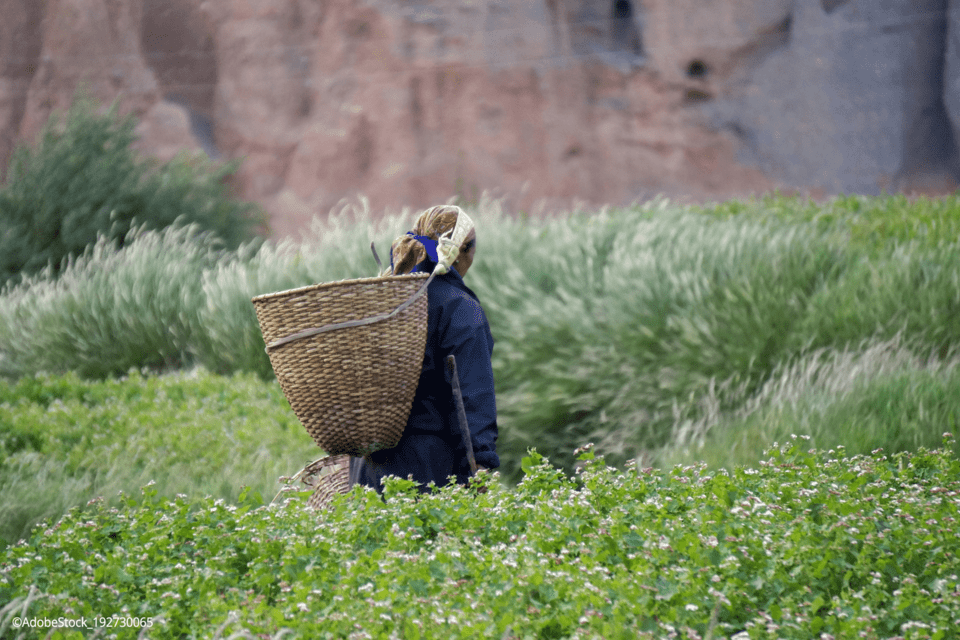 Himalayan Consultations Shape the Future of Sustainable Food Systems 