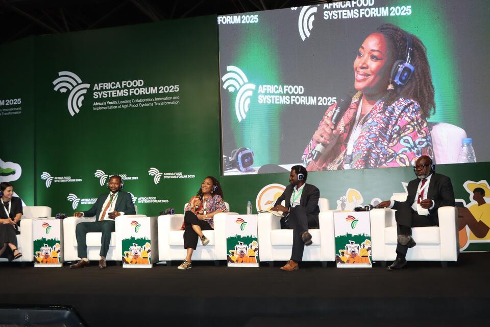 How catalytic capital is empowering Africa&rsquo;s agri-entrepreneurs